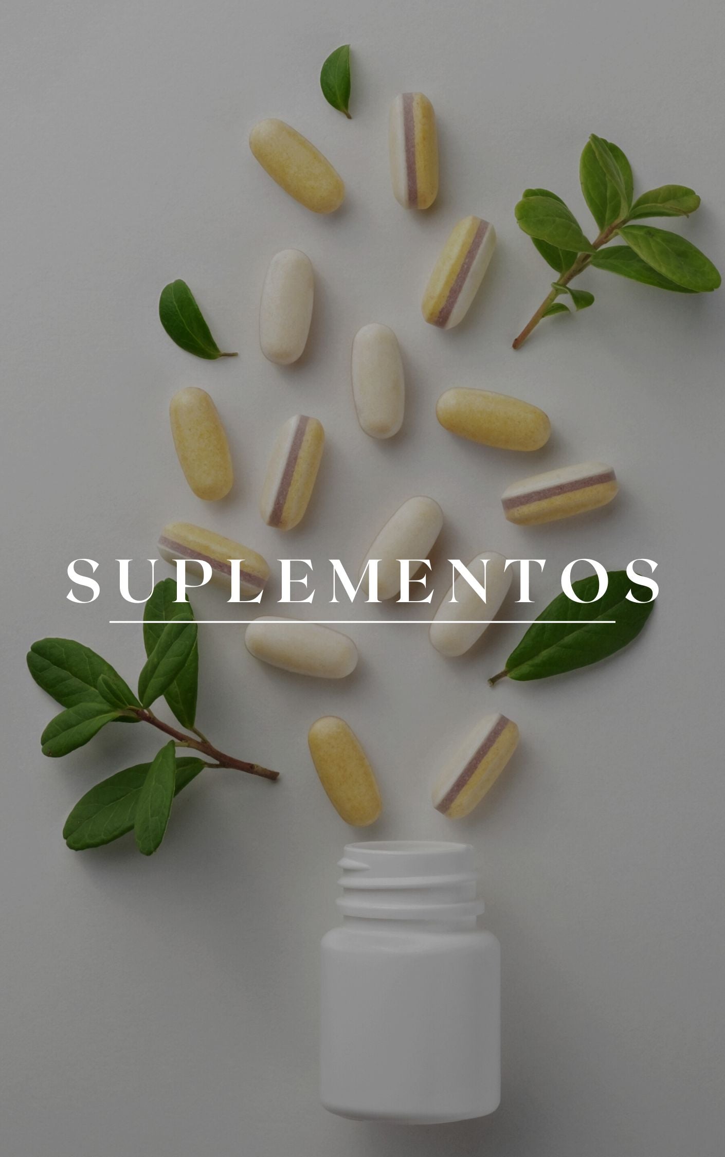 Suplementos